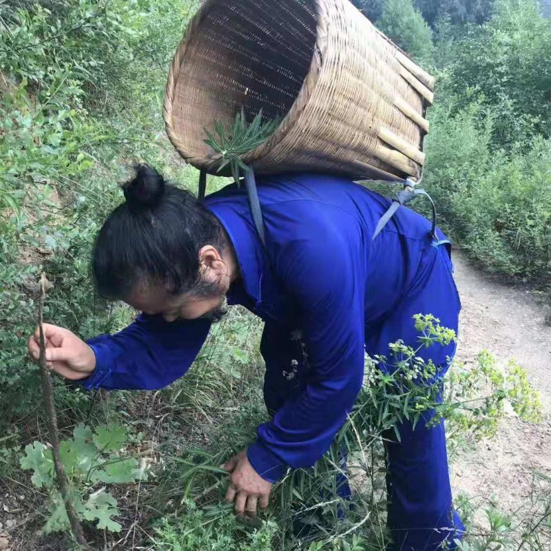 拉指診療非遺傳承人——雷尚