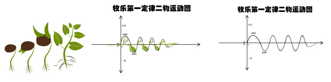 關于宇宙形狀、空間、時間、生命體的討論與五個猜想