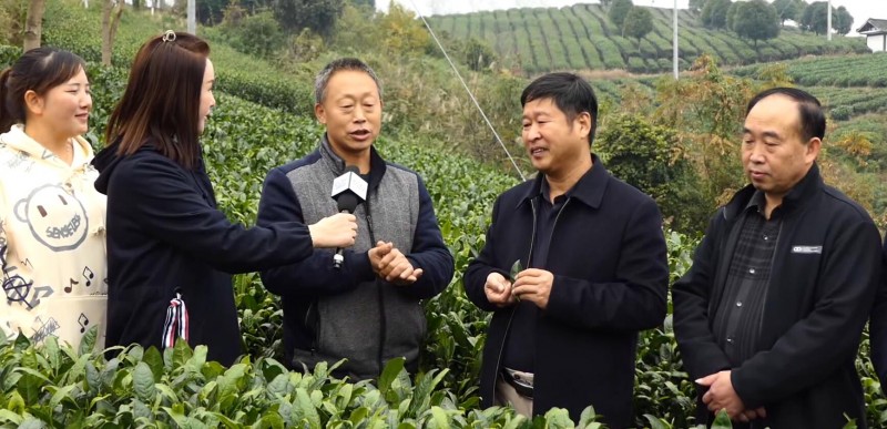 “碳氫無憂進千縣 安全食品進萬家”在貴州凱里啟動